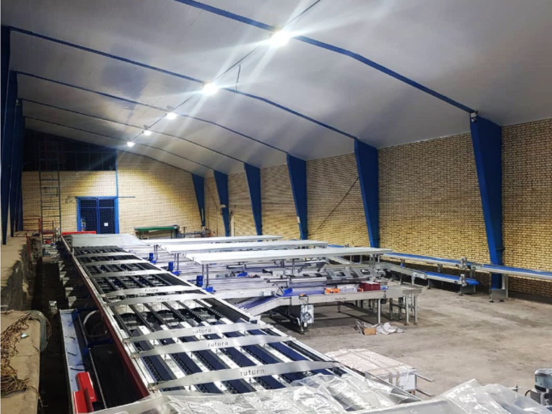 6-lane-kiwi-sorting-machine-03-2.jpg